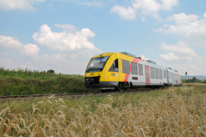 Ein LINT der HLB zwischen Sonnenblumen und Kornfeldern bei Wehrheim auf der Taunusbahn, aufgenommen am 27.07.2016.
