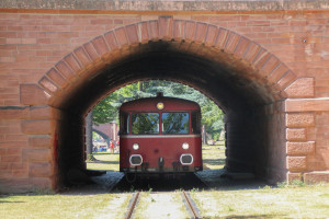 798 829 in einem Brückenbogen auf der Frankfurter Hafenbahn, aufgenommen am 14.06.2015.