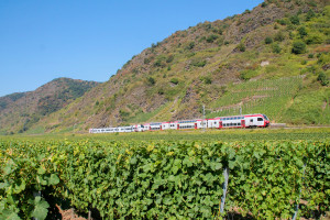 Ein FLIRT der DB und ein KISS der CFL in den Weinbergen bei Pommern auf der Moselstrecke, aufgenommen am 27.08.2016.