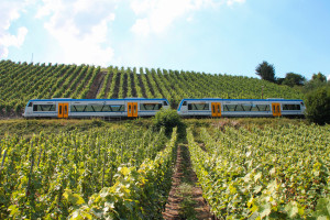 650 131 und 650 132 von Rhenus Veniro bei Reil auf der Moselweinbahn, aufgenommen am 27.08.2016.