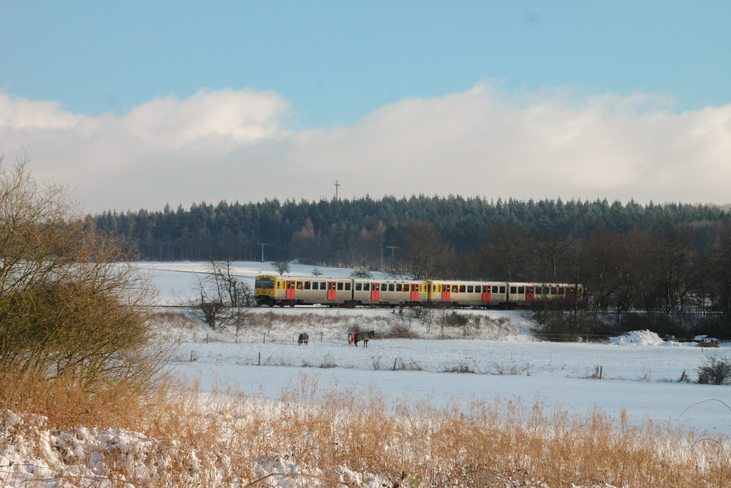 Zwei VT2E der HLB an einer Pferdeweide bei Hundstadt auf der Taunusbahn, aufgenommen am 16.01.2017.