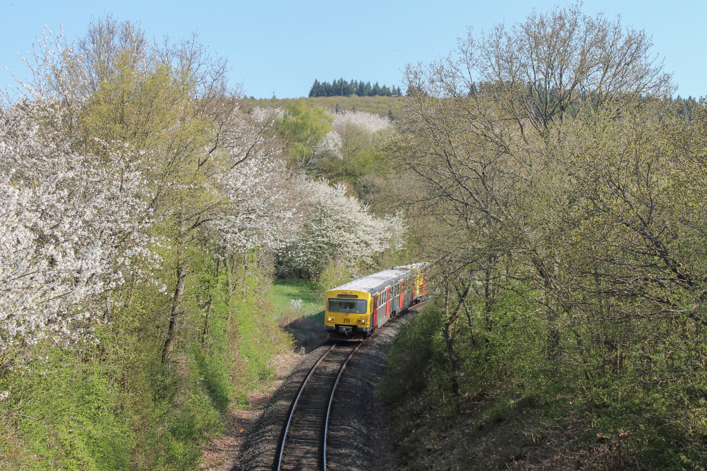 Zwei VT2E der HLB kurz vor Brandoberndorf auf der Taunusbahn, aufgenommen am 23.04.2015.