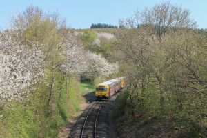 Zwei VT2E der HLB kurz vor Brandoberndorf auf der Taunusbahn, aufgenommen am 23.04.2015.
