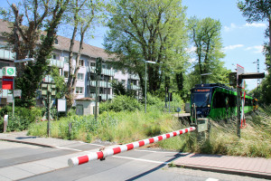450 930 und 450 929 am Bahnübergang in Sulzbach auf der Sodener Bahn, aufgenommen am 24.06.2017.