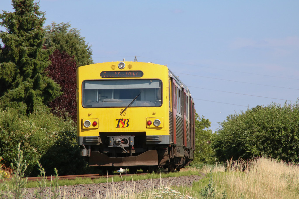 609 015 ist bei Liederbach auf der Frankfurt-Königsteiner-Eisenbahn, aufgenommen am 24.06.2017.
