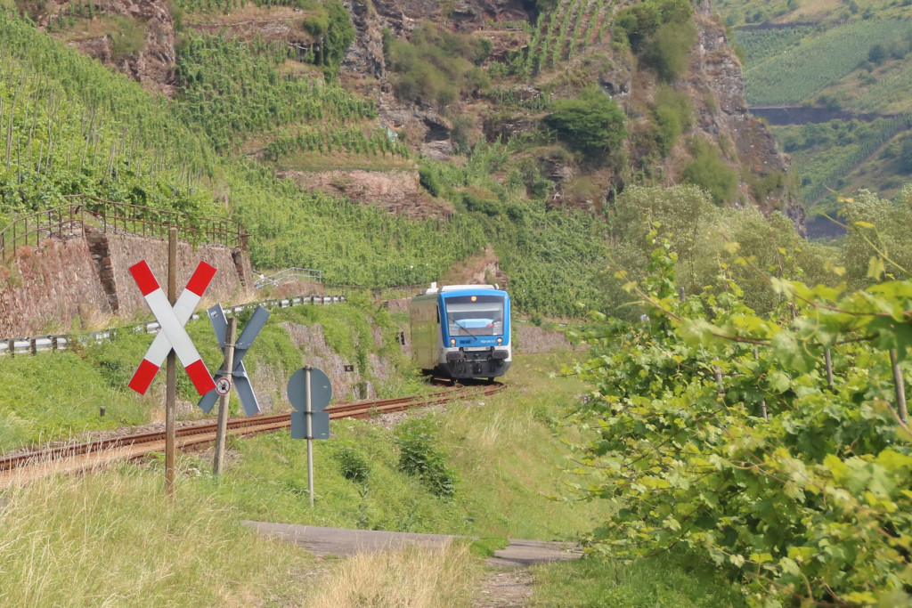 650 131 in den steilen Moselbergen bei Reil auf der Moselweinbahn, aufgenommen am 07.07.2017