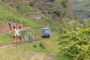 650 131 in den steilen Moselbergen bei Reil auf der Moselweinbahn, aufgenommen am 07.07.2017