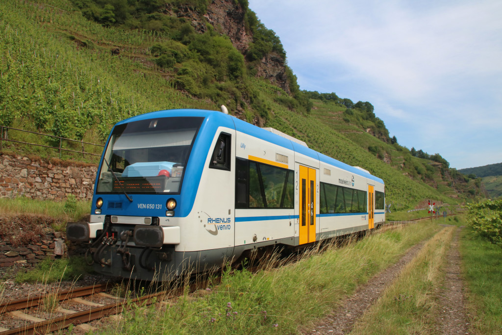 650 131 in den Weinbergen bei Reil auf der Moselweinbahn, aufgenommen am 07.07.2017