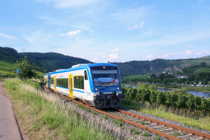 650 131 und 650 132 in den Weinbergen bei Reil auf der Moselweinbahn, aufgenommen am 07.07.2017.