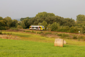 Ein LINT der HLB, als Sonderzug zum Schmaadleckermarkt, zwischen Daubringen und Lollar auf der Lumdatalbahn am 07.09.2014.