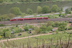 442 208 an den Kleingärten bei Moselkern auf der Moselstrecke, aufgenommen am 01.05.2018.