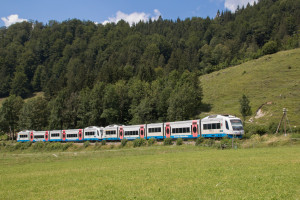 609 105 und 609 111 am Waldrand bei Osterhofen, aufgenommen am 18.07.2018.
