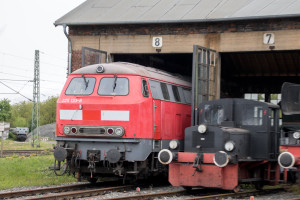 225 133 schaut aus dem Lokschuppen des Bahnbetriebswerkes in Hanau, aufgenommen am 04.05.2019.