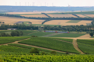 Zwei LINT der Baureihe 622 in der Nähe von Gau-Bickelheim auf der Rheinhessenbahn, aufgenommen am 17.07.2020.