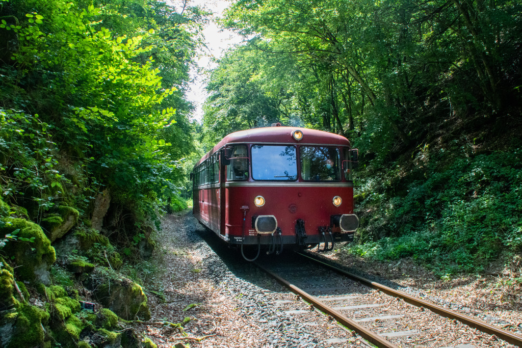 798 729 an einem Einschnitt auf der Kasbachtalbahn, aufgenommen am 11.08.2021.