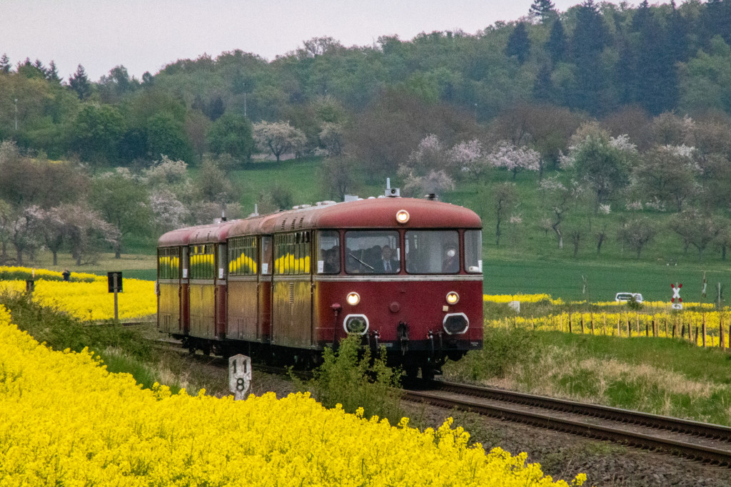 798 829, 996 310, 798 589 und 996 677 an einem Rapsfeld bei Echzell auf der Horlofftalbahn, aufgenommen am 24.04.2022.