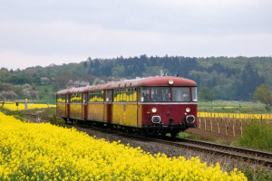 798 829, 996 310, 798 589 und 996 677 sind an einem Rapsfeld bei Echzell auf der Horlofftalbahn, aufgenommen am 24.04.2022.