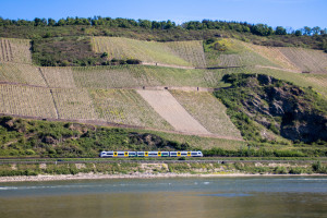 460 015 im Bopparder Hamm auf der linken Rheinstrecke, aufgenommen am 14.05.2022.