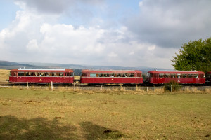 798 829, 996 310, 798 589 und 996 677 bei Neu Anspach, aufgenommen am 11.09.2022.