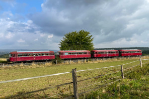 798 829, 996 310, 798 589 und 996 677 in der Nähe von Neu Anspach auf der Taunusbahn, aufgenommen am 11.09.2022.