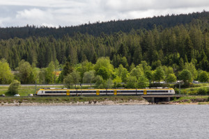 1440 180 am Waldrand bei Schluchsee auf der Dreiseenbahn, aufgenommen am 24.05.2022.