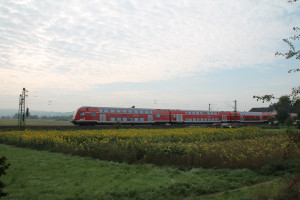 Der Regionalexpress Kassel-Frankfurt durchquerte am 12.09.2015 die Sonnenblumen bei Niederwalgern.