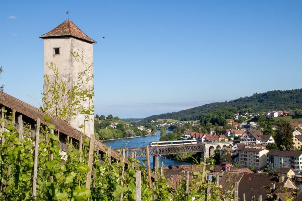 Ein GTW von Thurbo überquert die Rheinbrücke zwischen Schaffhausen und Feuerthalen, aufgenommen am 26.05.2022.