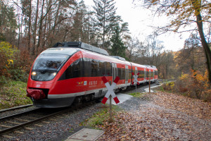 644 046 überquert einen Waldweg bei Köppern, aufgenommen am 25.11.2022.