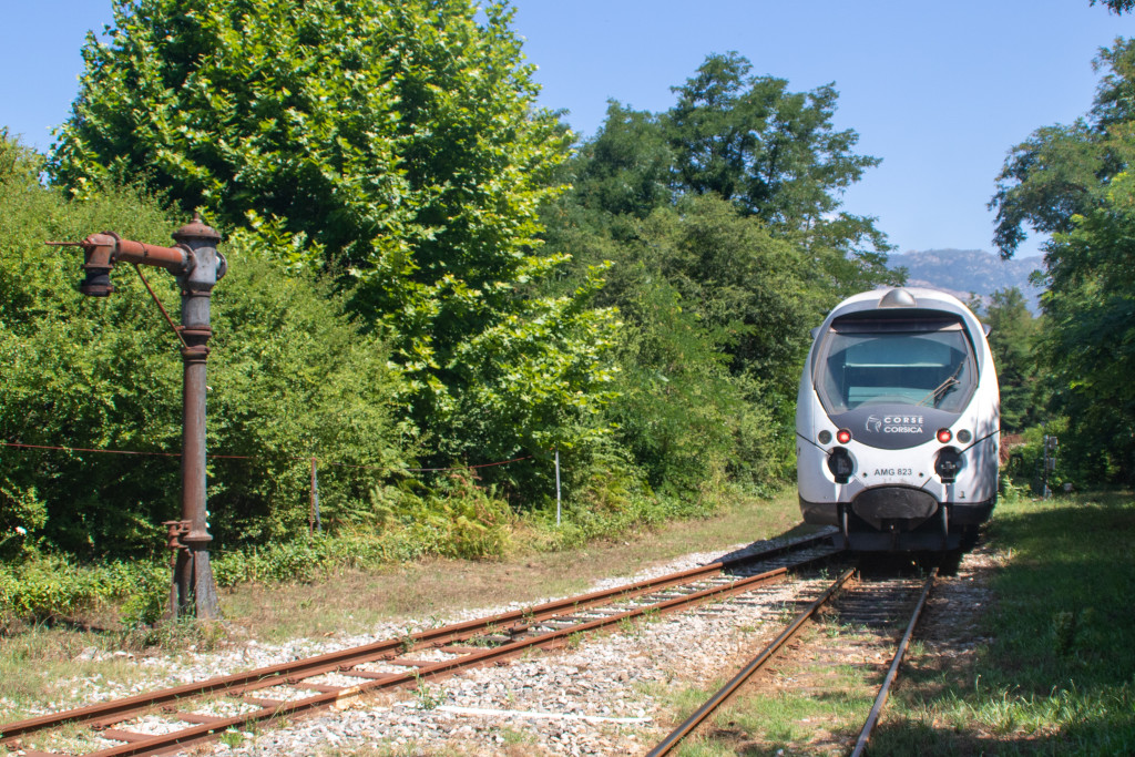 Ein AMG-800-Triebwagen verlässt den Bahnhof Ucciani ein, aufgenommen am 17.07.2025 auf Korsika.