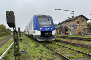554 110 im Bahnhof Ober-Widdersheim auf der Lahn-Kinzig-Bahn, aufgenommen am 02.10.2024.