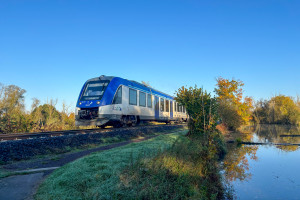 554 117 bei Trais-Horloff auf der Lahn-Kinzig-Bahn, aufgenommen am 23.10.2024.