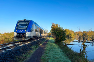 554 117 an den Tümpeln bei Trais-Horloff auf der Lahn-Kinzig-Bahn, aufgenommen am 23.10.2024.