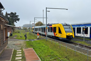 554 116 und ein weiterer 554 kreuzen mit einem 2648 der HLB in Ober-Widdersheim auf der Lahn-Kinzig-Bahn, aufgenommen am 28.10.2024.
