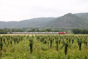 Eine 101 passiert mit ihrem IC die Kirschfelder bei Namedy auf der linken Rheinstrecke, aufgenommen am 19.06.2016.
