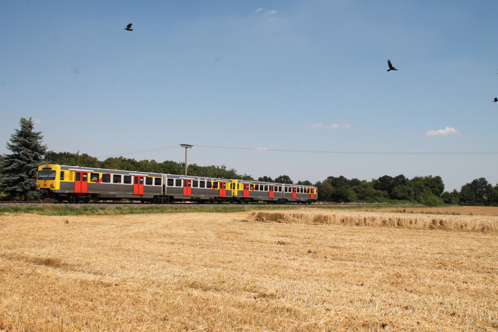 Zwei VT2E der HLB passieren Kornfelder bei Münster auf der Frankfurt-Königsteiner-Eisenbahn, aufgenommen am 20.07.2016.