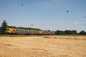 Zwei VT2E der HLB passieren Kornfelder bei Münster auf der Frankfurt-Königsteiner-Eisenbahn, aufgenommen am 20.07.2016.